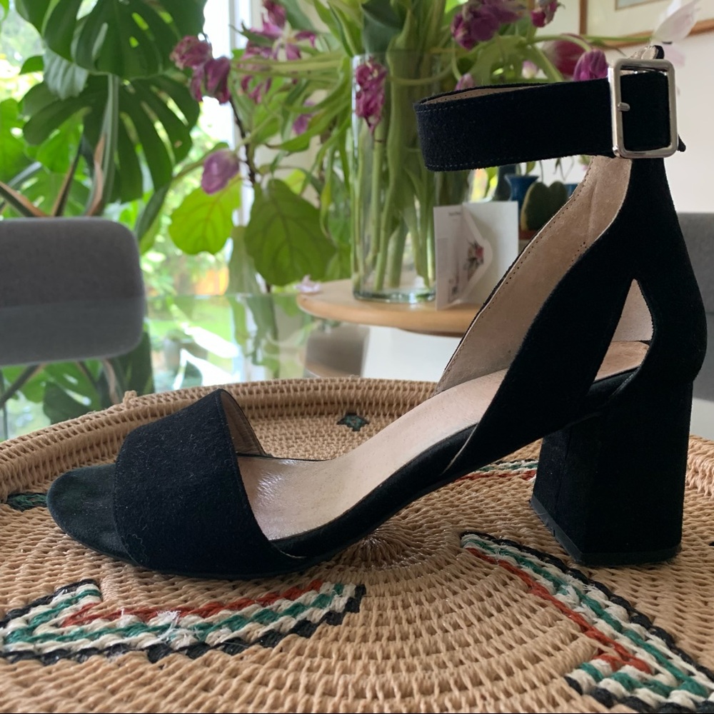 SHOE THE BEAR black suede